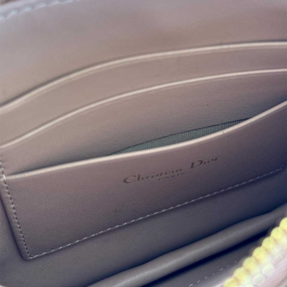 Dior Caro Every Dior Pouch