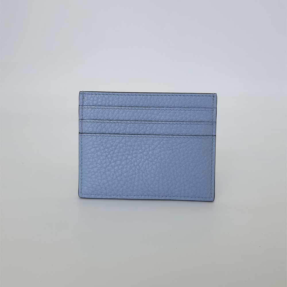 Baby Blue & Fuchsia Peekaboo Card Holder