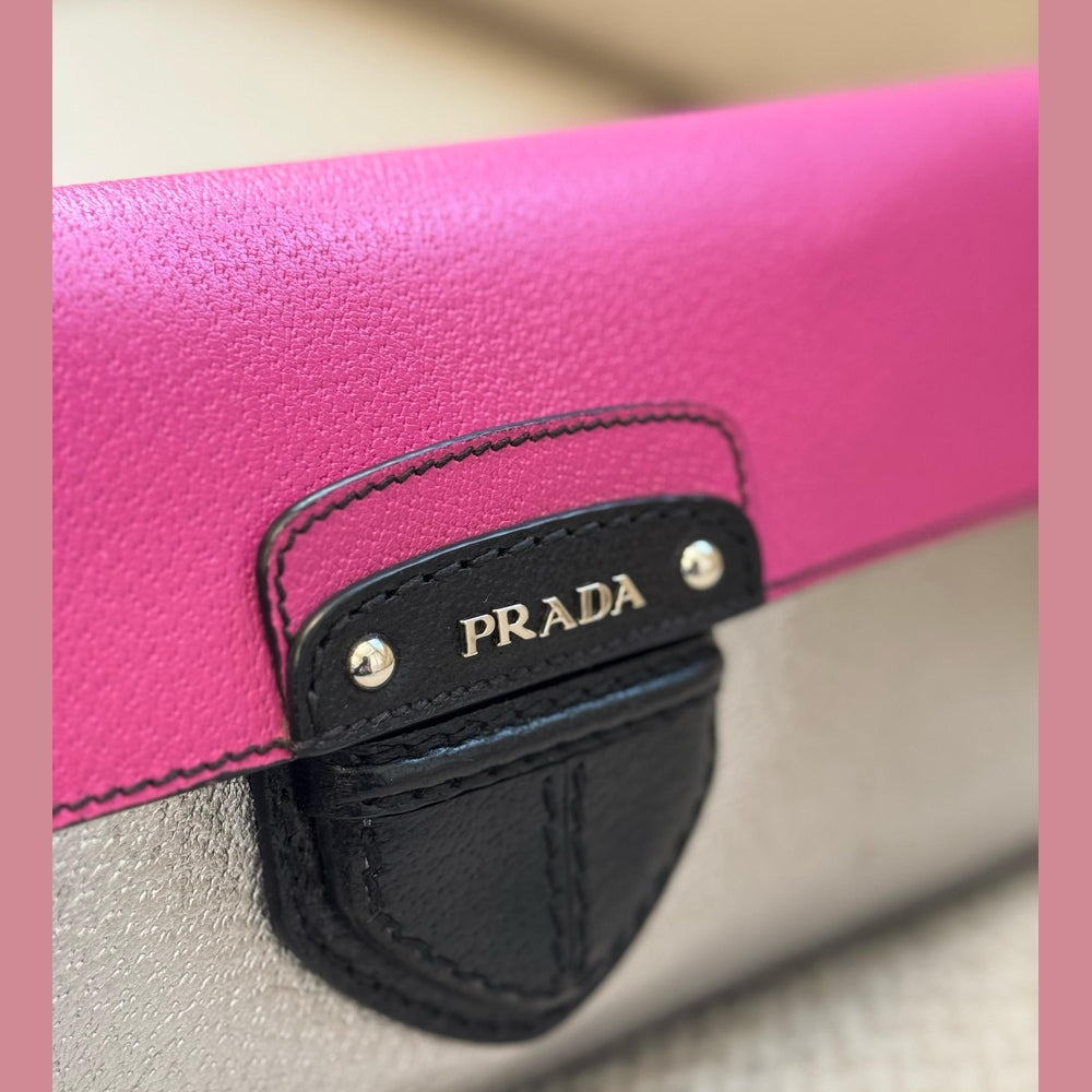 Prada Tricolor Cinghiale Clutch