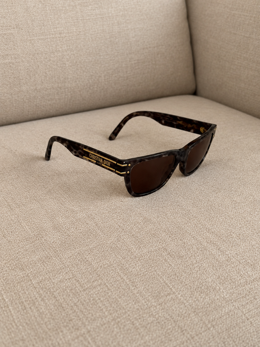 Christian Dior DiorSignature Black Sunglasses