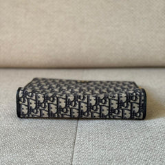 Christian Dior Oblique 30 Montaigne Dea Pouch