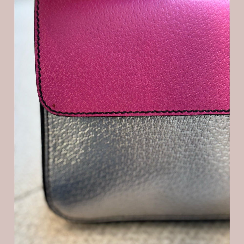 Prada Tricolor Cinghiale Clutch